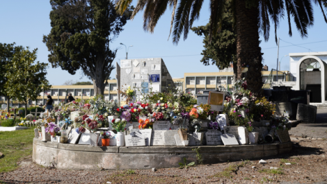 la imagen muestra interior de cementerio, lápidas y flores en el cementerio del Cerro de Montevideo